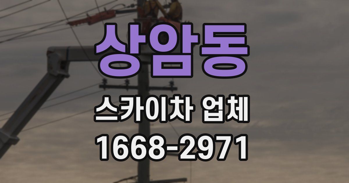 상암동 스카이차 업체
