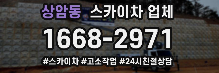 상암동 스카이차 업체