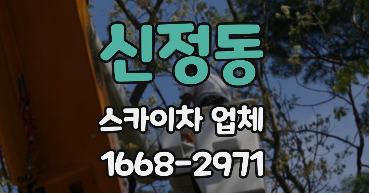 신정동 스카이차 업체