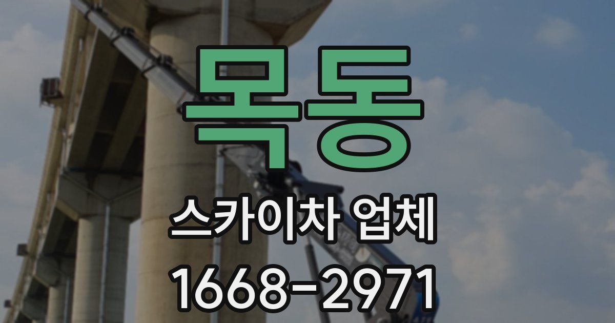 목동 스카이차 업체