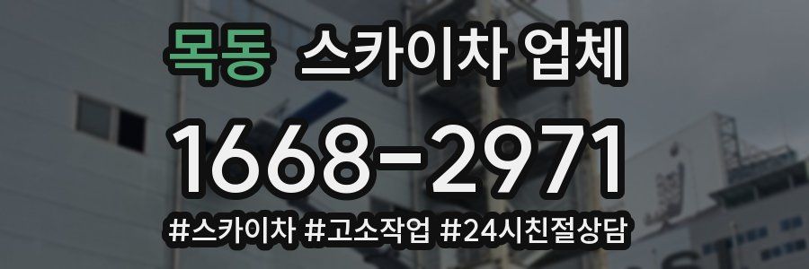 목동 스카이차 업체