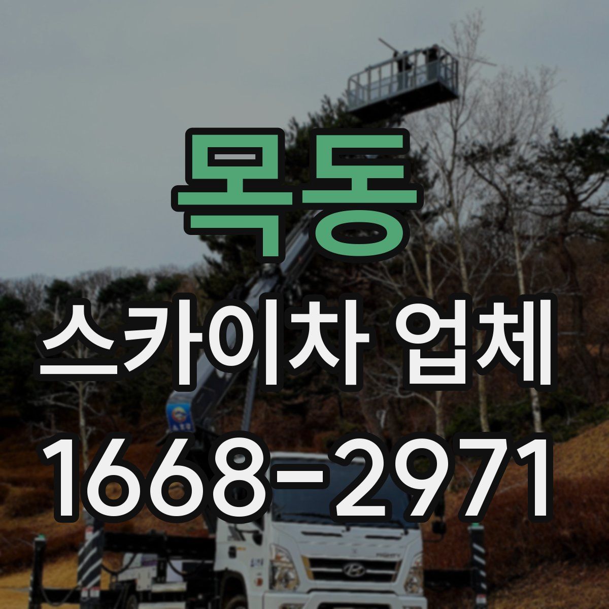 목동 스카이차 업체