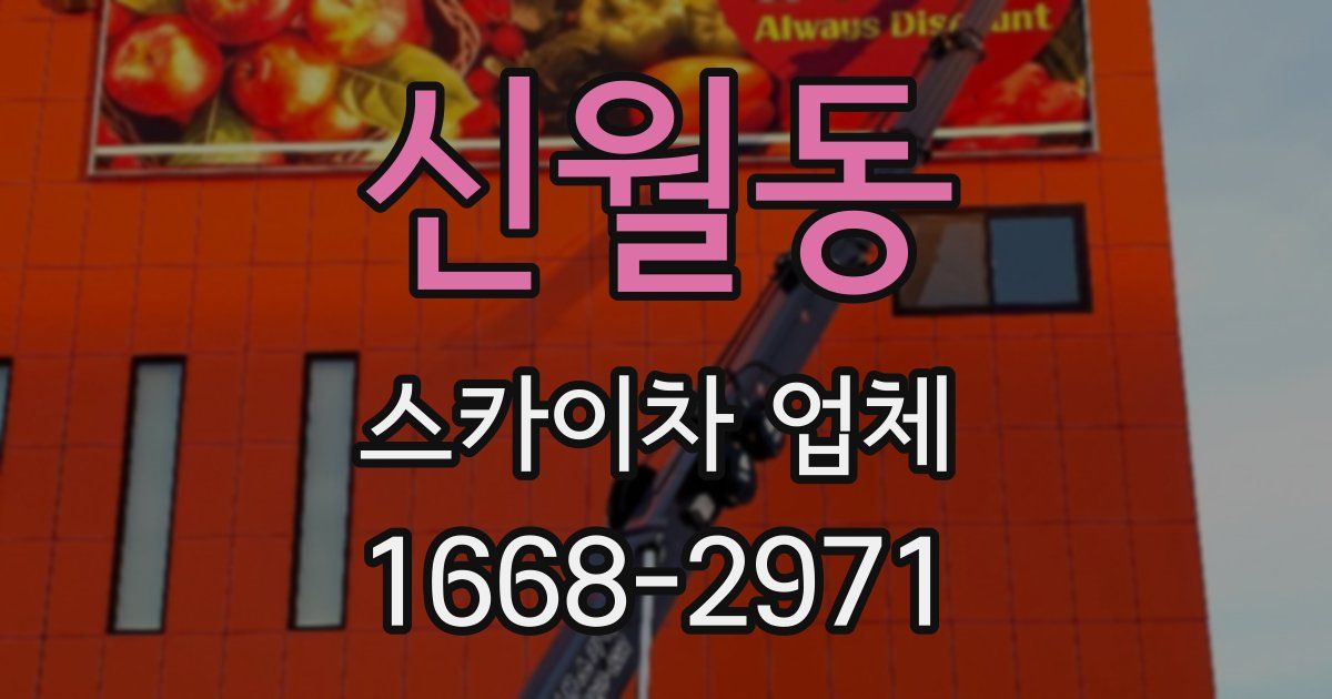 신월동 스카이차 업체