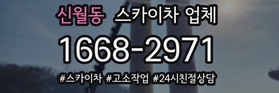 신월동 스카이차 업체
