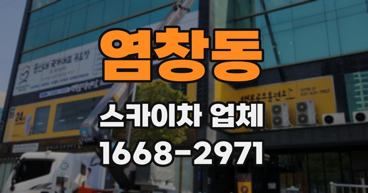 염창동 스카이차 업체