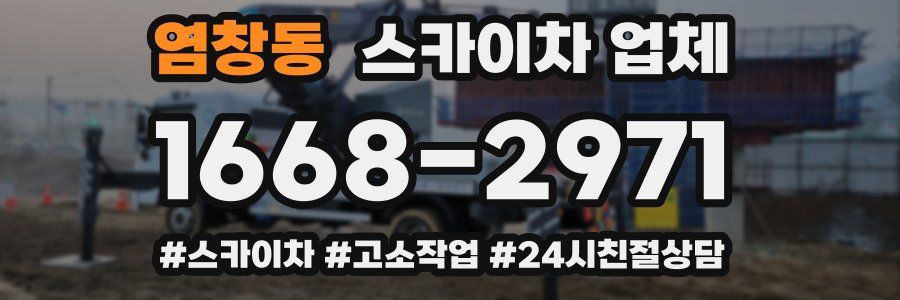 염창동 스카이차 업체