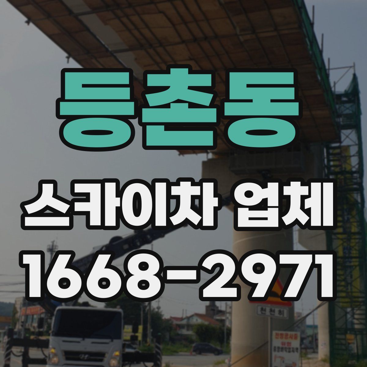 등촌동 스카이차 업체