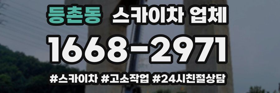 등촌동 스카이차 업체
