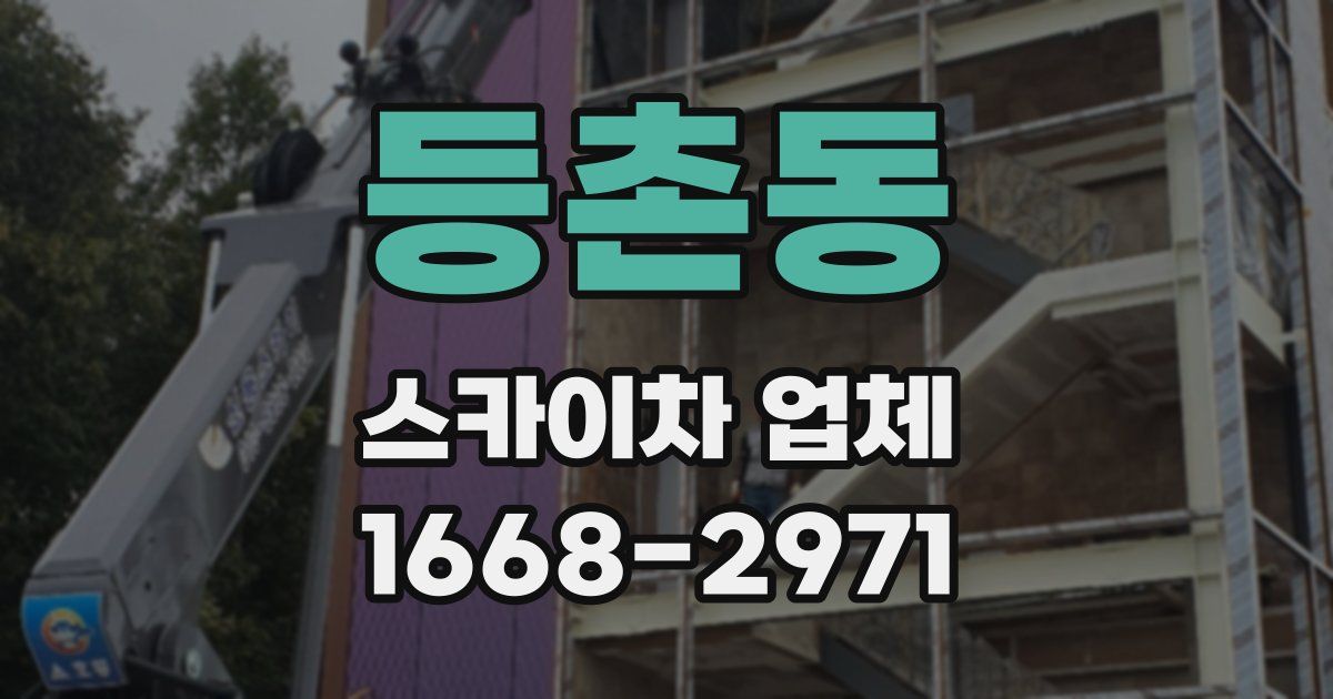 등촌동 스카이차 업체