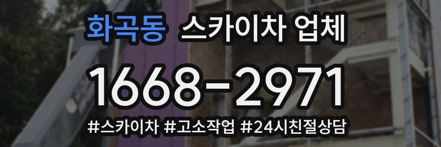 화곡동 스카이차 업체