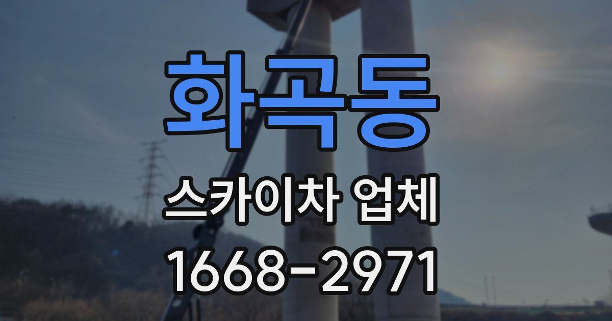 화곡동 스카이차 업체