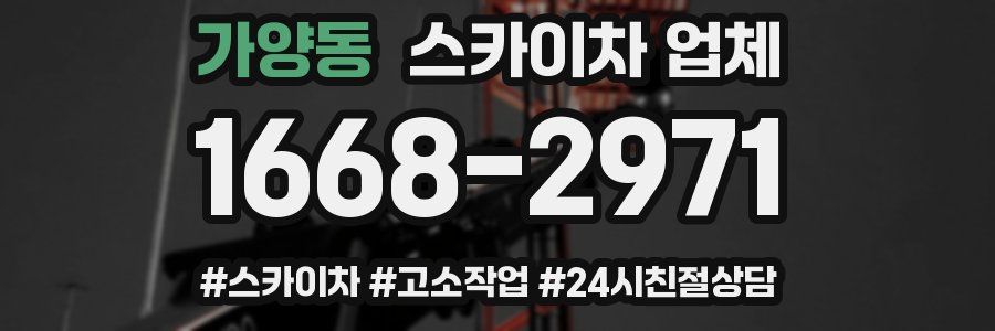 가양동 스카이차 업체