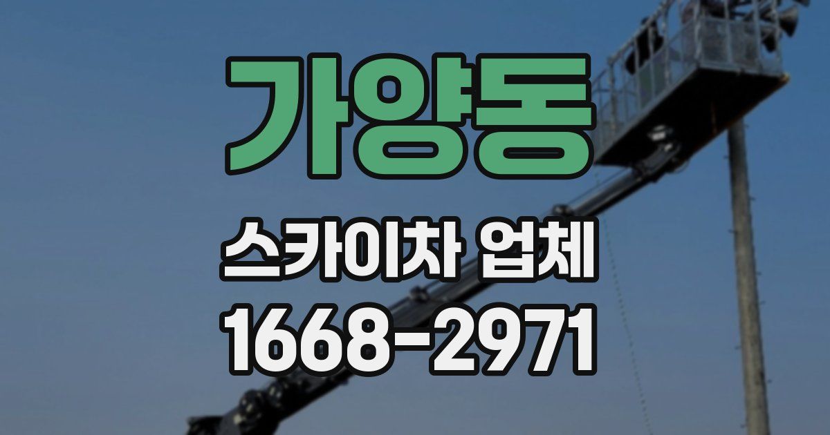 가양동 스카이차 업체