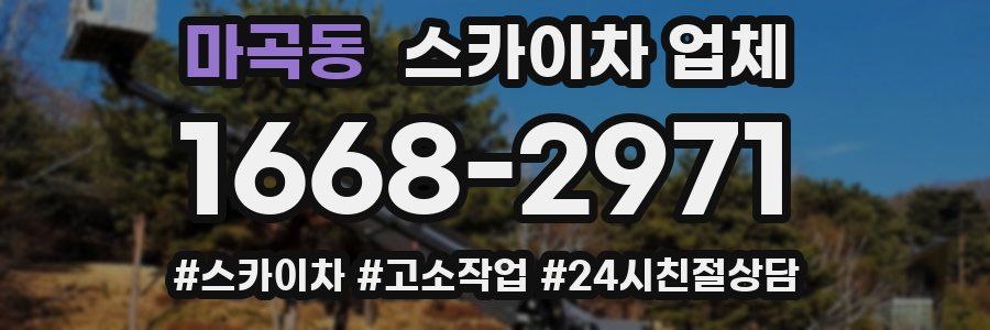 마곡동 스카이차 업체