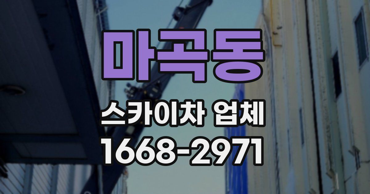 마곡동 스카이차 업체