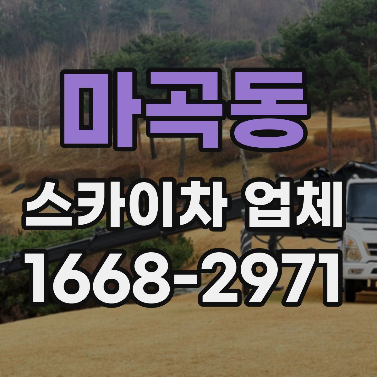 마곡동 스카이차 업체