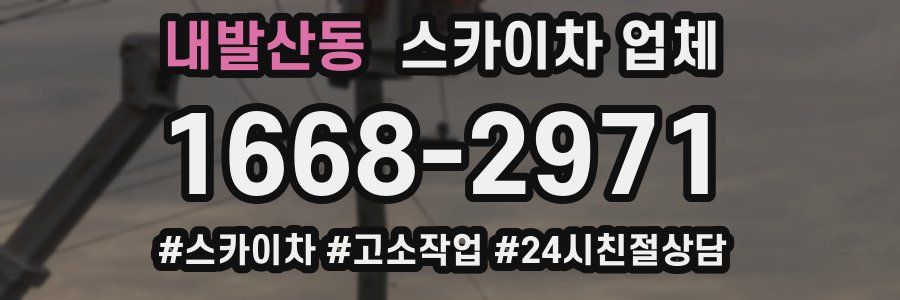 내발산동 스카이차 업체