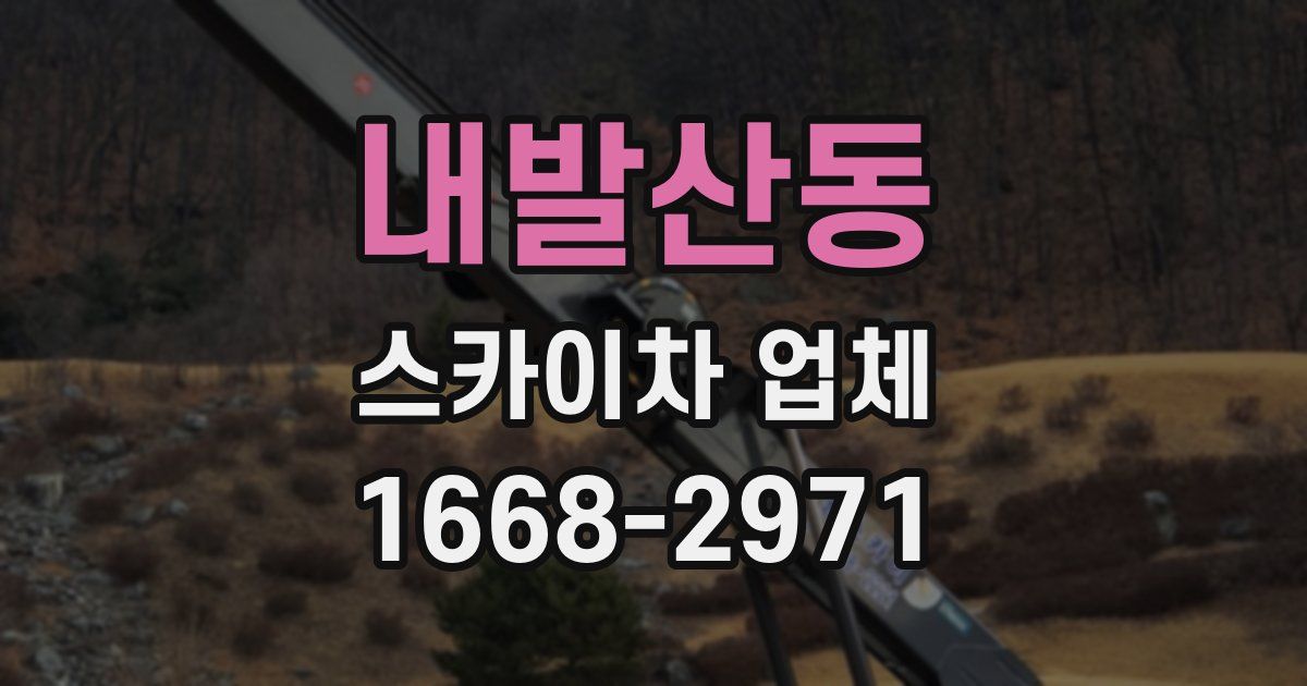 내발산동 스카이차 업체