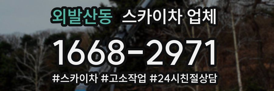 외발산동 스카이차 업체