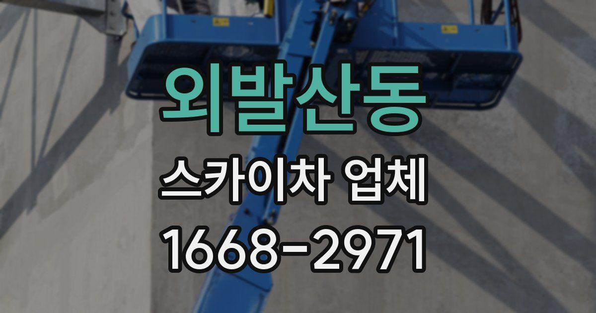 외발산동 스카이차 업체