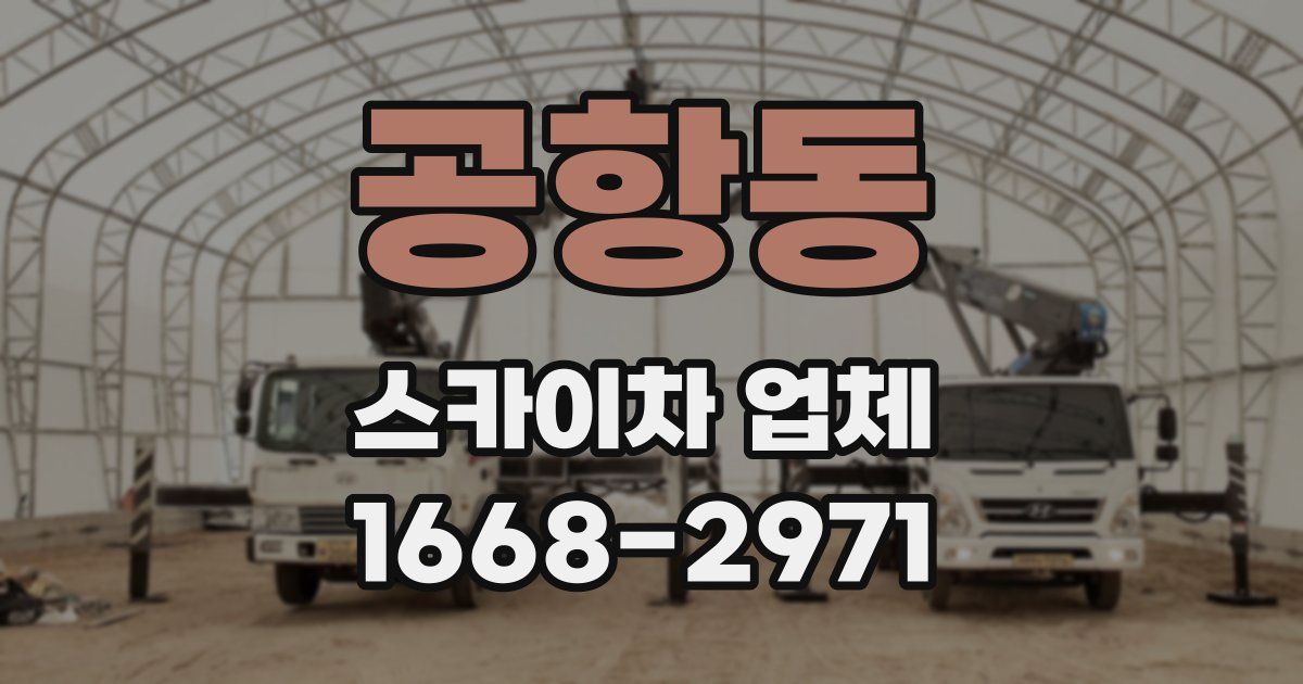 공항동 스카이차 업체