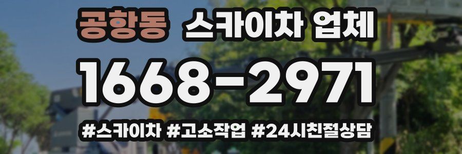 공항동 스카이차 업체