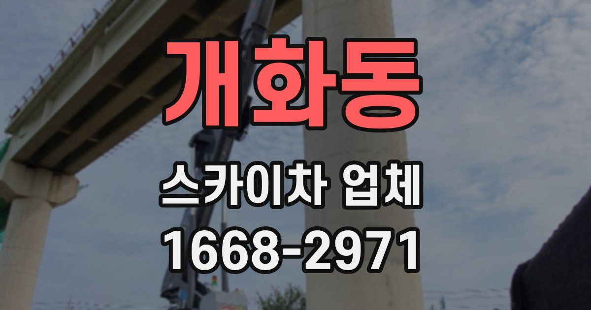 개화동 스카이차 업체