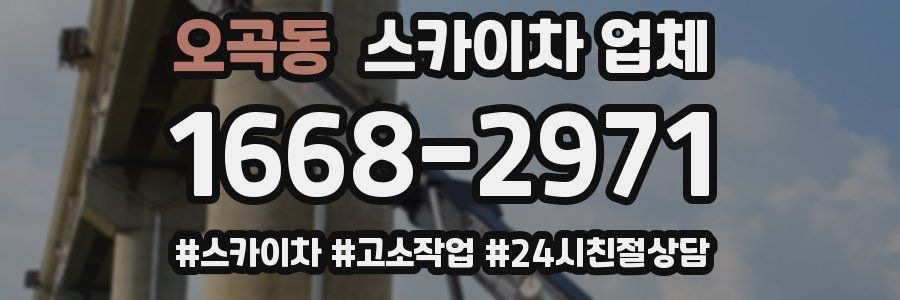 오곡동 스카이차 업체