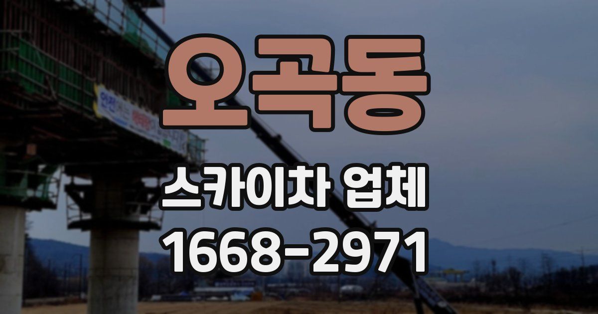 오곡동 스카이차 업체