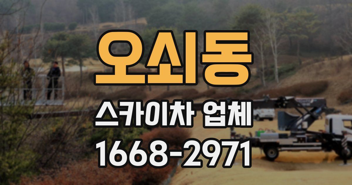 오쇠동 스카이차 업체