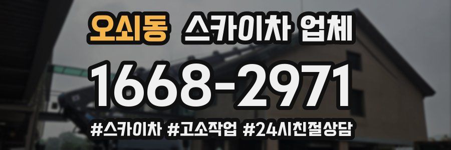 오쇠동 스카이차 업체