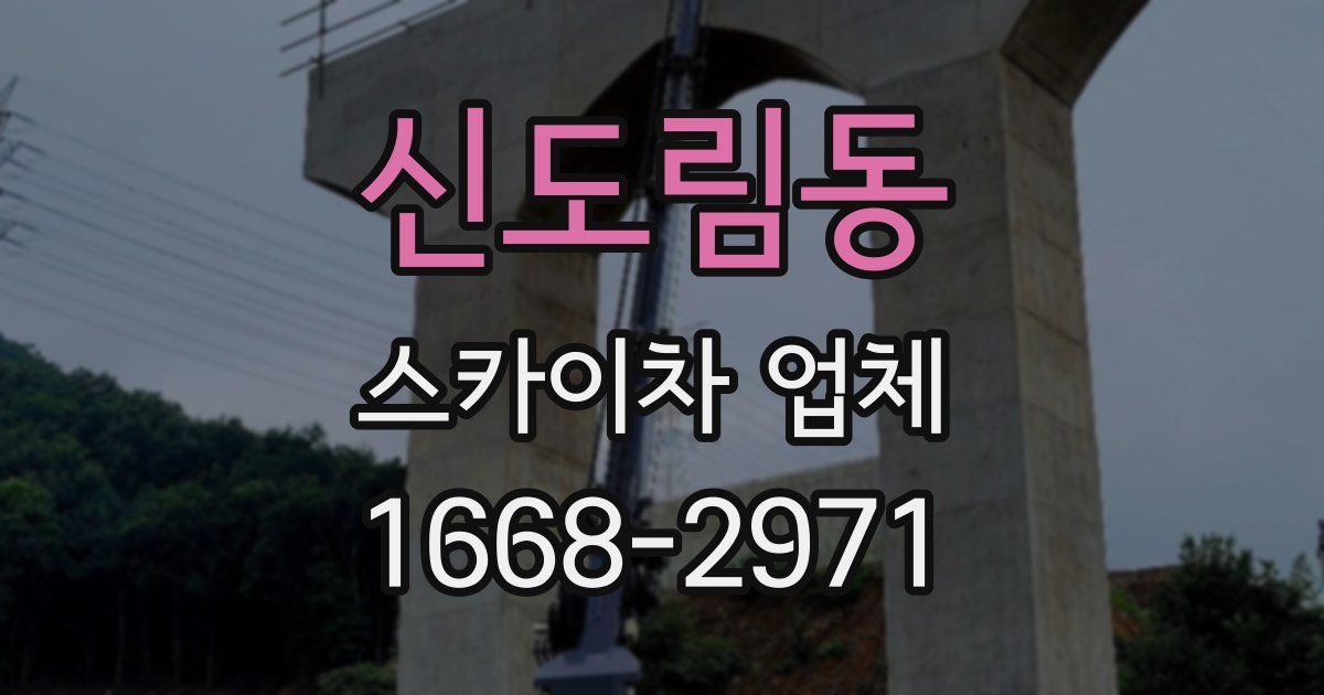 신도림동 스카이차 업체