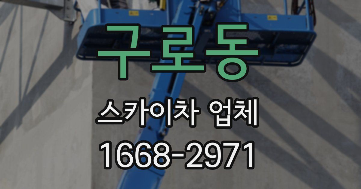 구로동 스카이차 업체