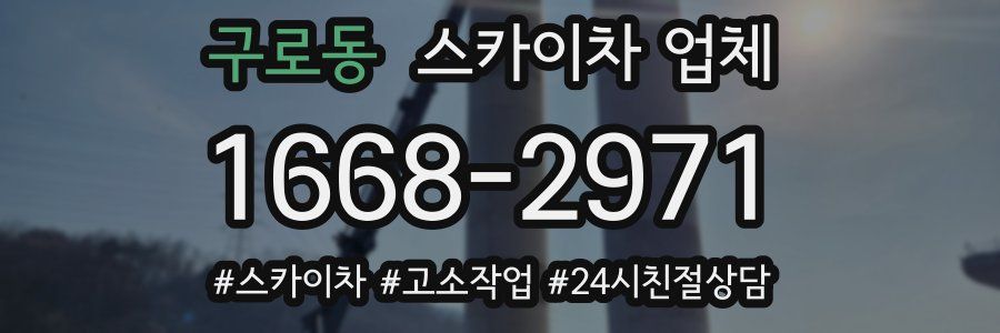 구로동 스카이차 업체