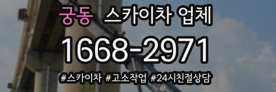 궁동 스카이차 업체