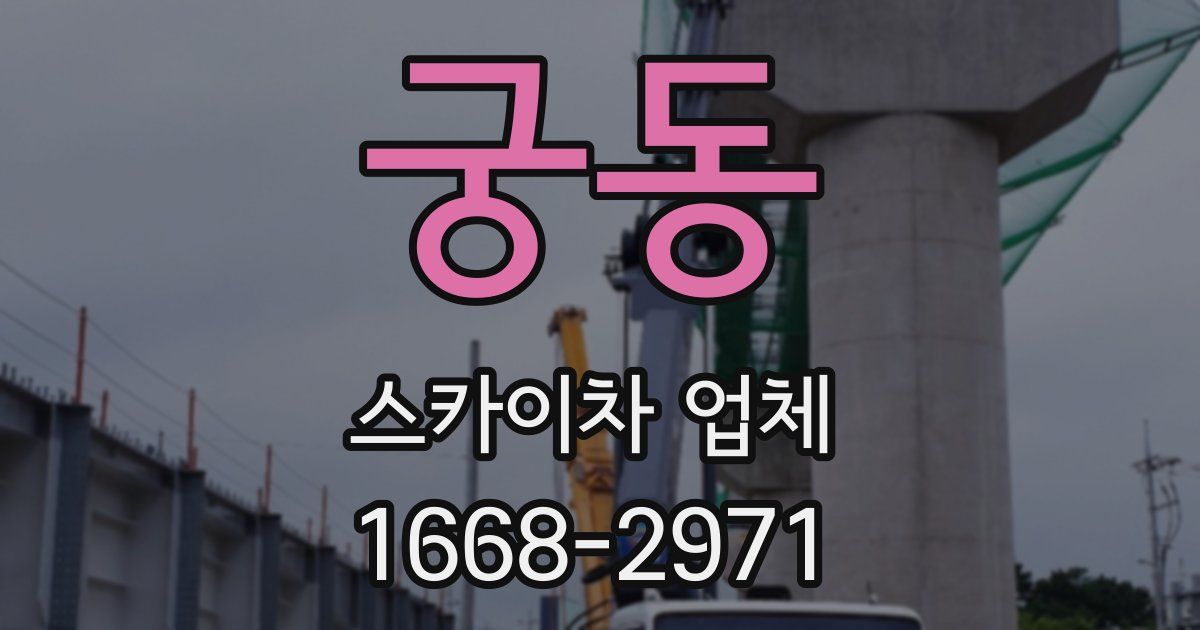 궁동 스카이차 업체
