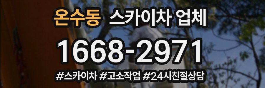 온수동 스카이차 업체