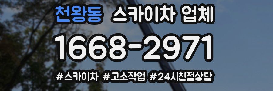 천왕동 스카이차 업체