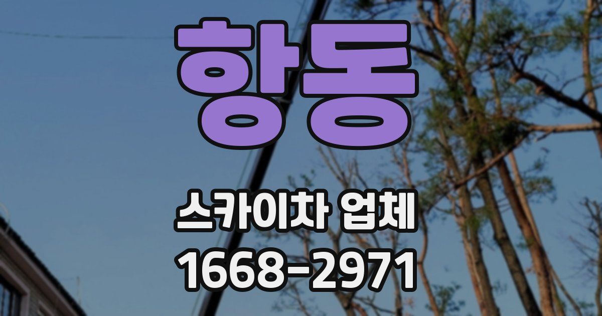 항동 스카이차 업체