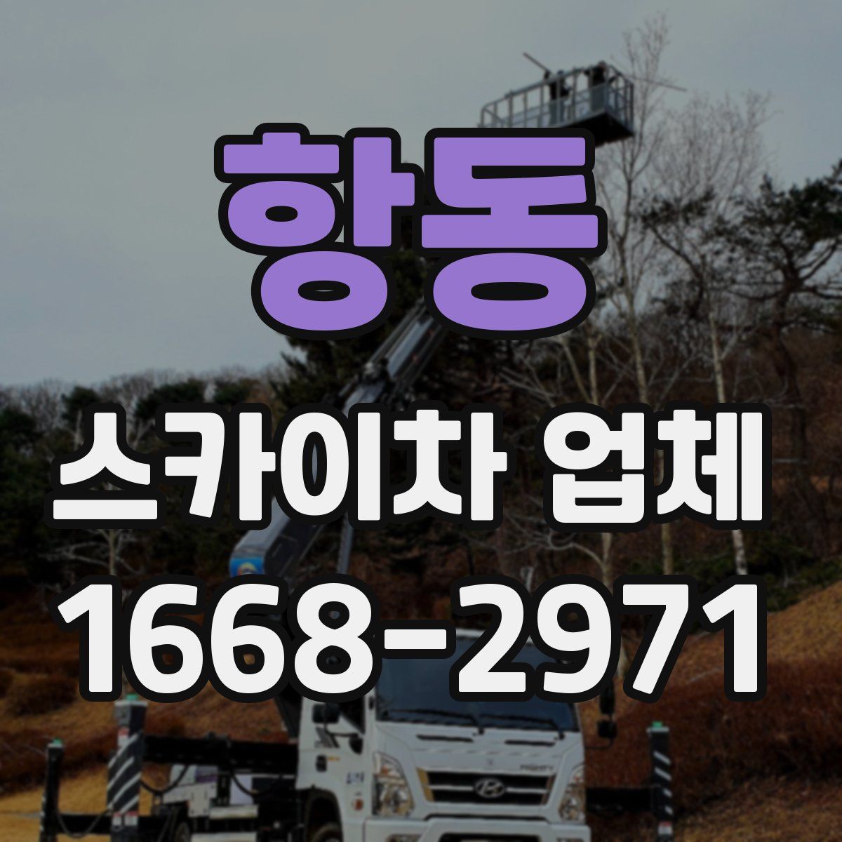 항동 스카이차 업체