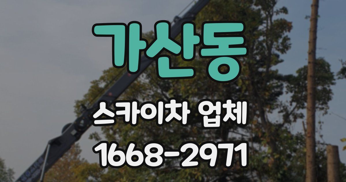 가산동 스카이차 업체