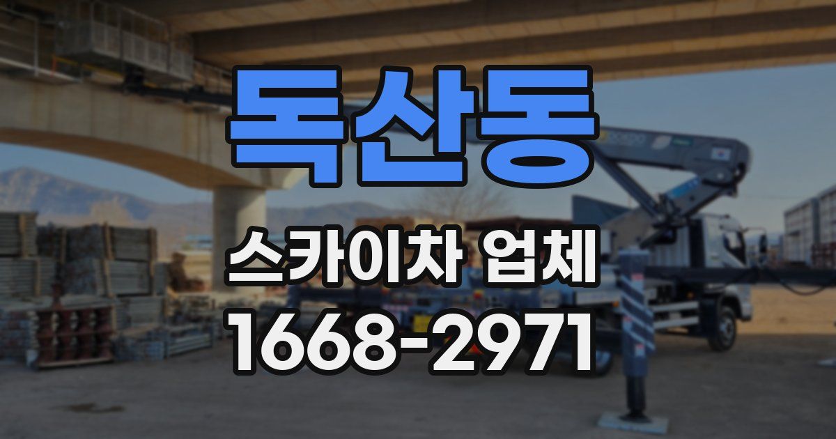 독산동 스카이차 업체