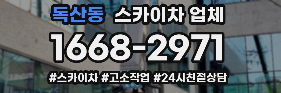 독산동 스카이차 업체