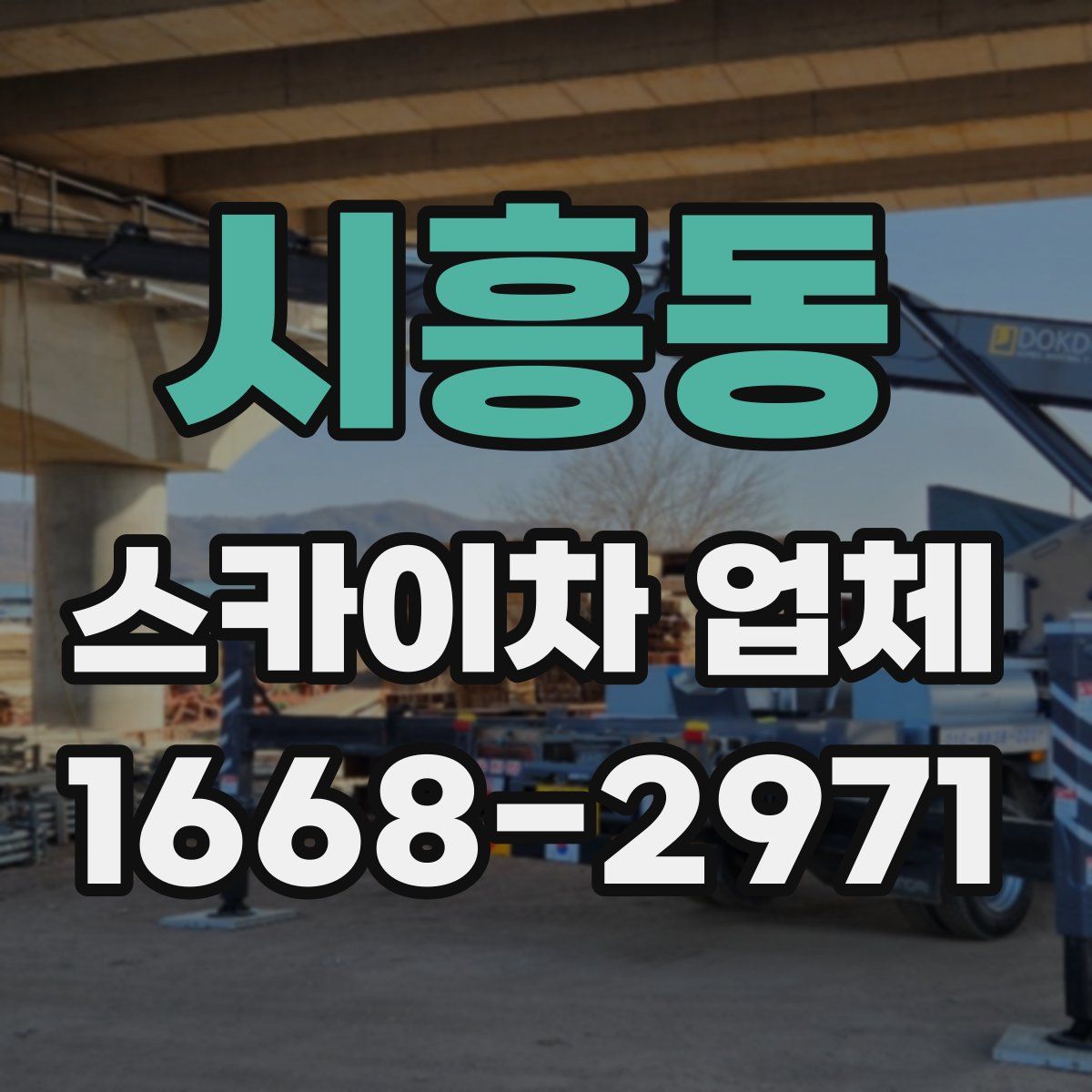 시흥동 스카이차 업체