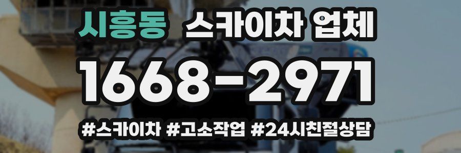 시흥동 스카이차 업체