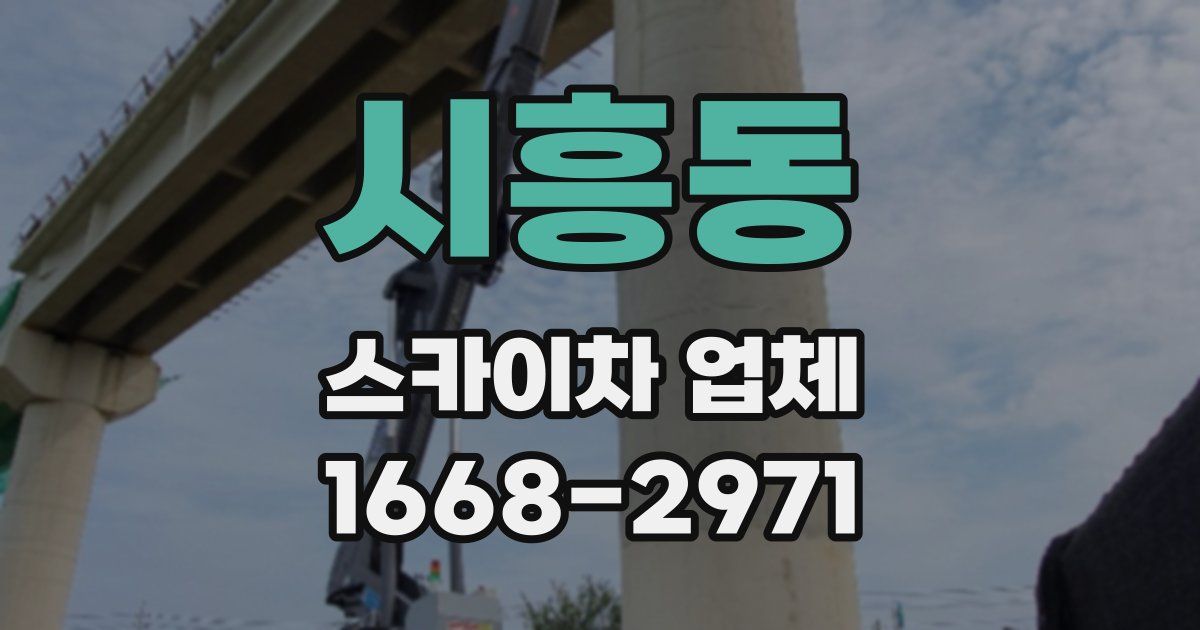 시흥동 스카이차 업체