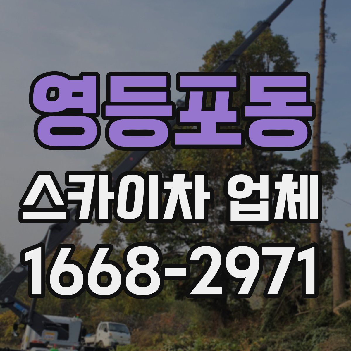영등포동 스카이차 업체