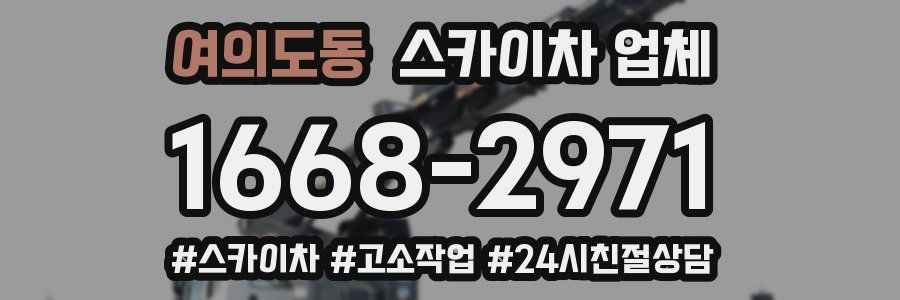 여의도동 스카이차 업체