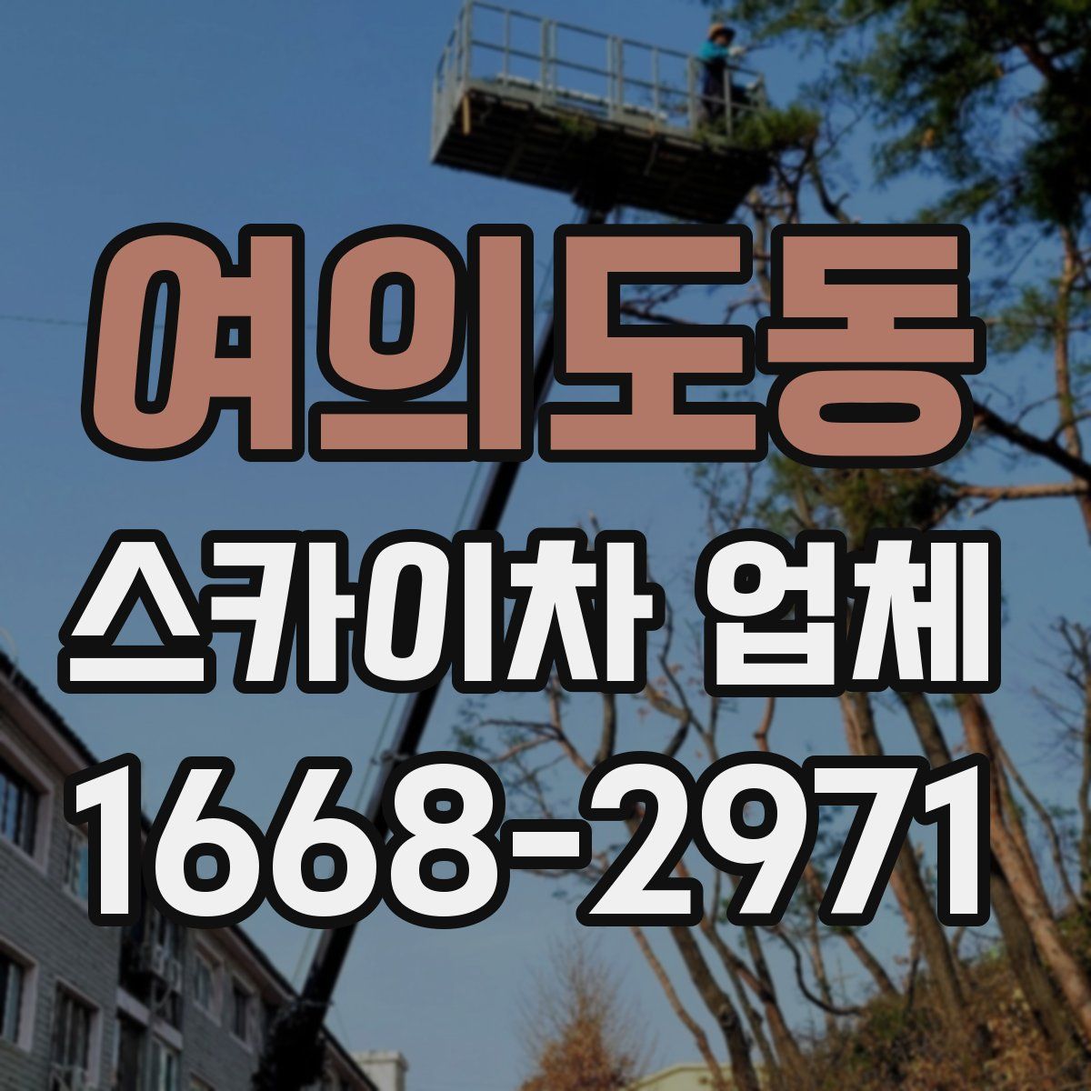 여의도동 스카이차 업체