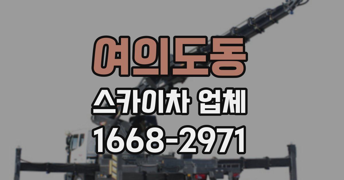 여의도동 스카이차 업체
